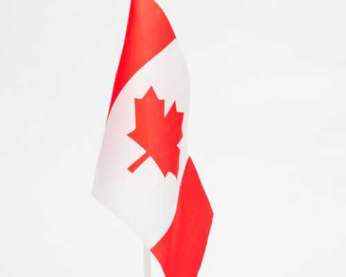 加拿大纽省移民条件（2016年加